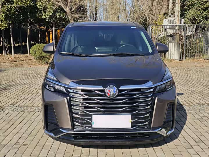 Фото 2 - Buick GL8 ES