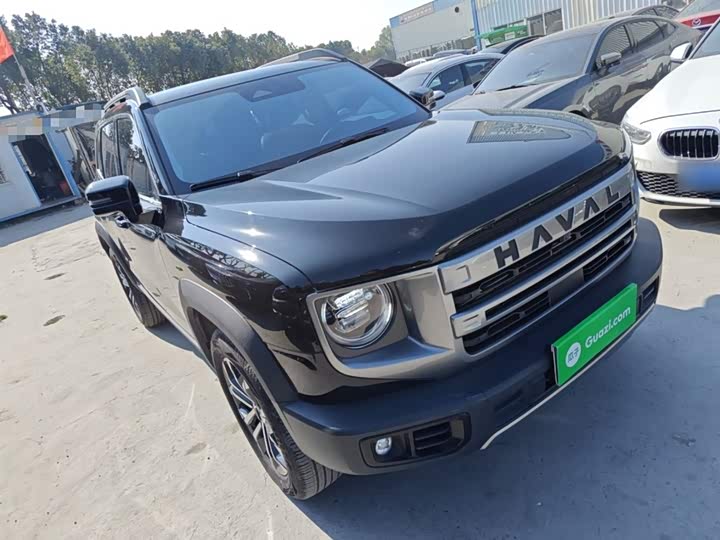 Фото 4 - Haval Dargo