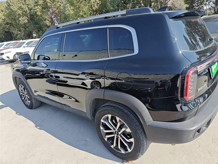 Фото 5 - Haval Dargo