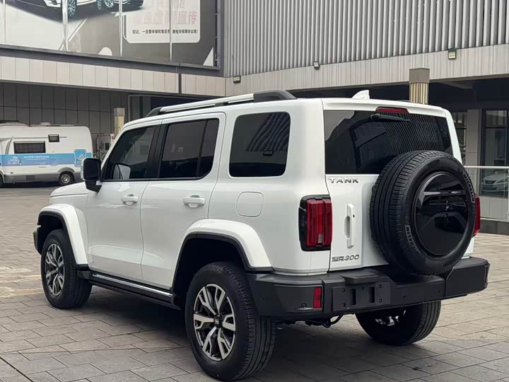 Фото 4 - Tank 300