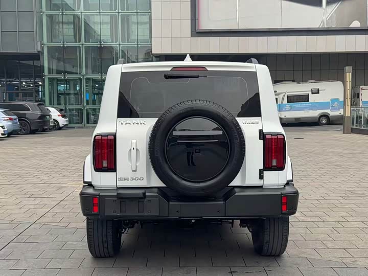 Фото 5 - Tank 300