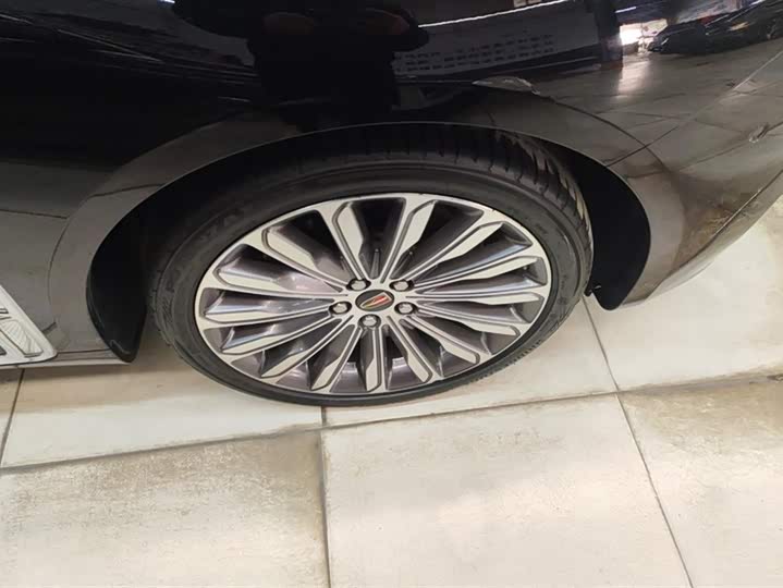 Фото 6 - Hongqi H9