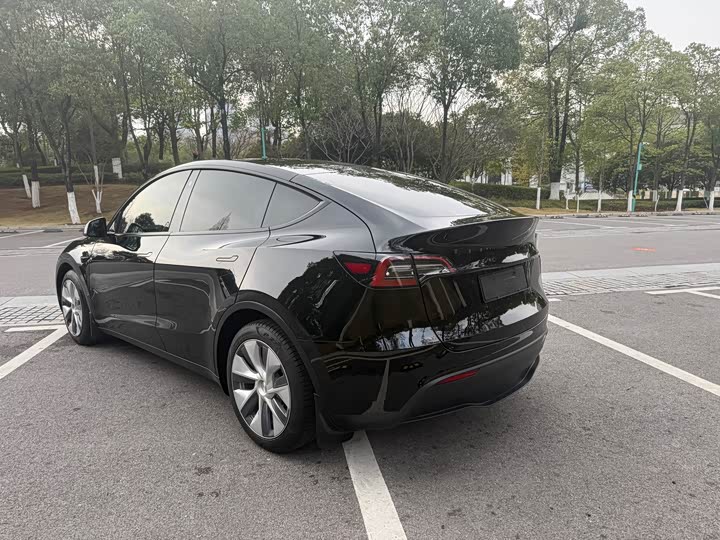 Фото 6 - Tesla Model Y
