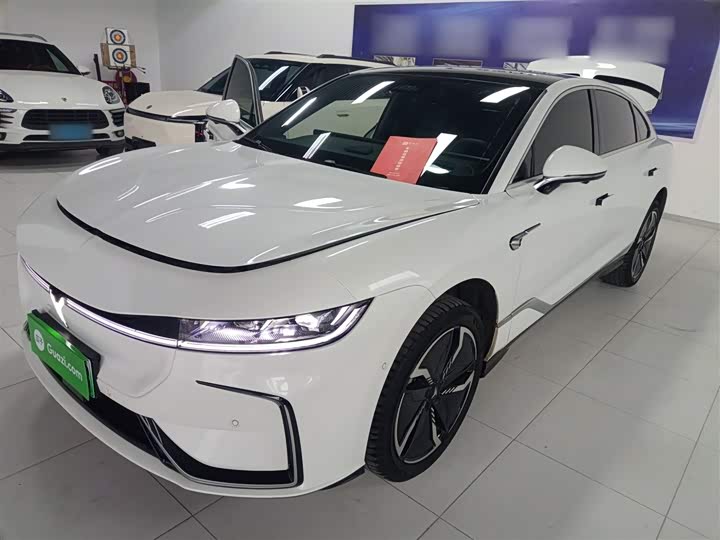 Фото 1 - Voyah Passion