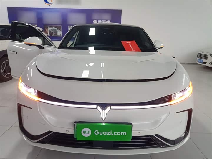 Фото 3 - Voyah Passion