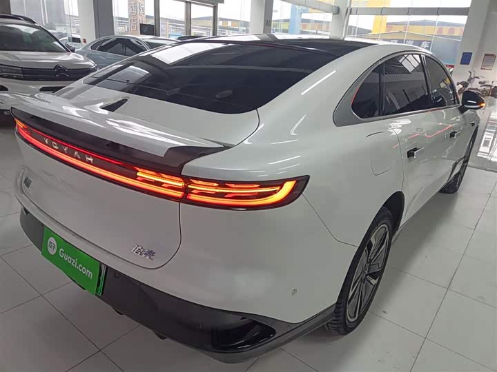 Фото 7 - Voyah Passion