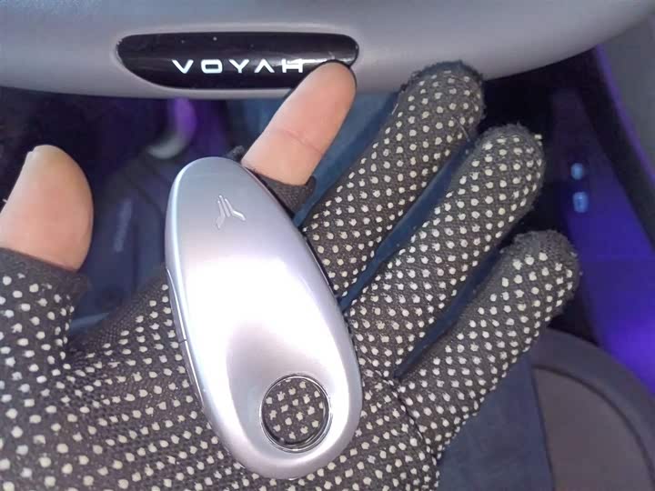 Фото 9 - Voyah Passion