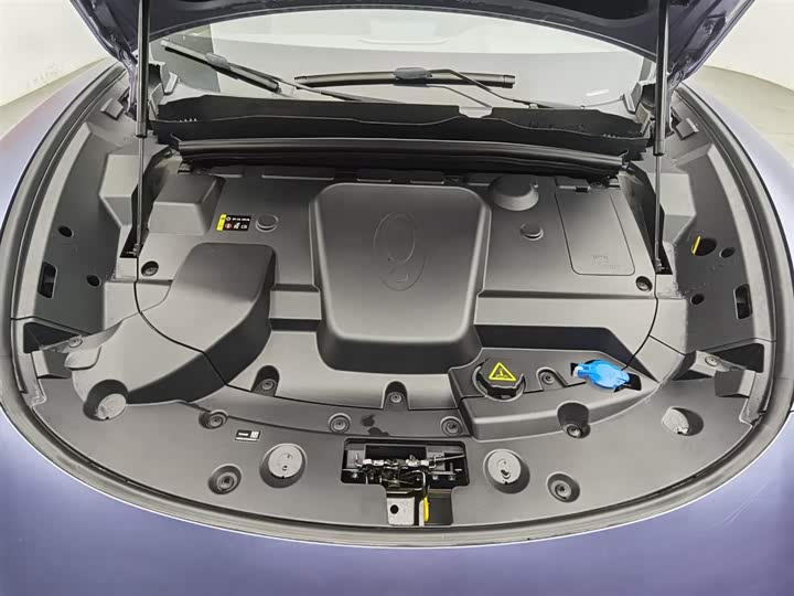 Фото 6 - Ora Lightning Cat (07)