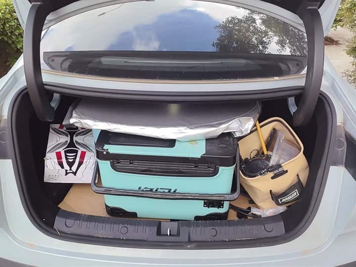 Фото 4 - BYD Qin L