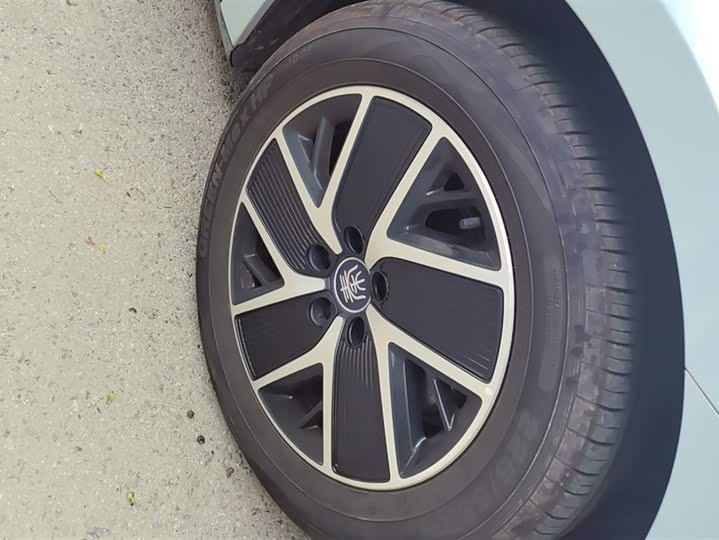 Фото 6 - BYD Qin L