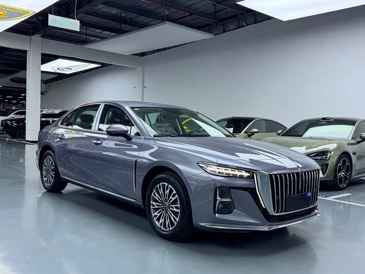 Фото 3 - Hongqi H5
