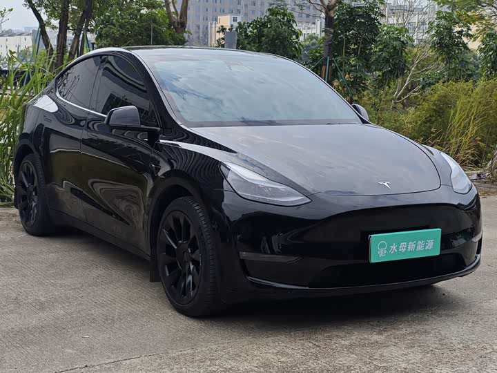 Фото 3 - Tesla Model Y