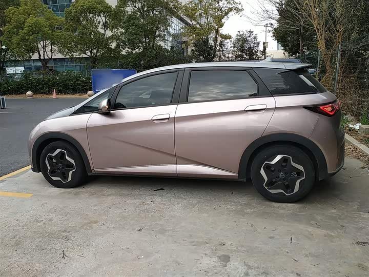 Фото 5 - BYD Dolphin