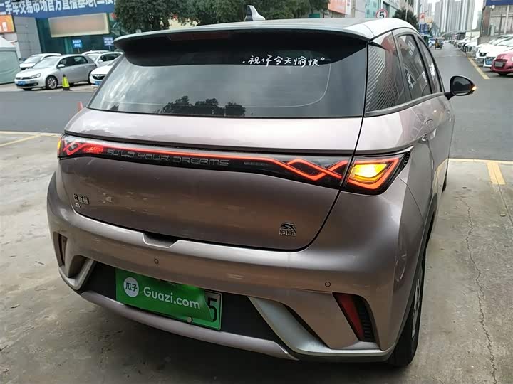 Фото 6 - BYD Dolphin