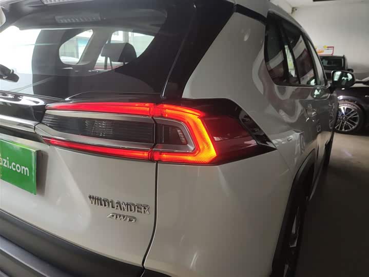 Фото 8 - Toyota Wildlander