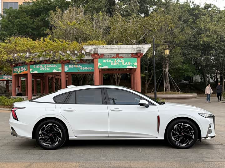 Фото 4 - Hongqi H6