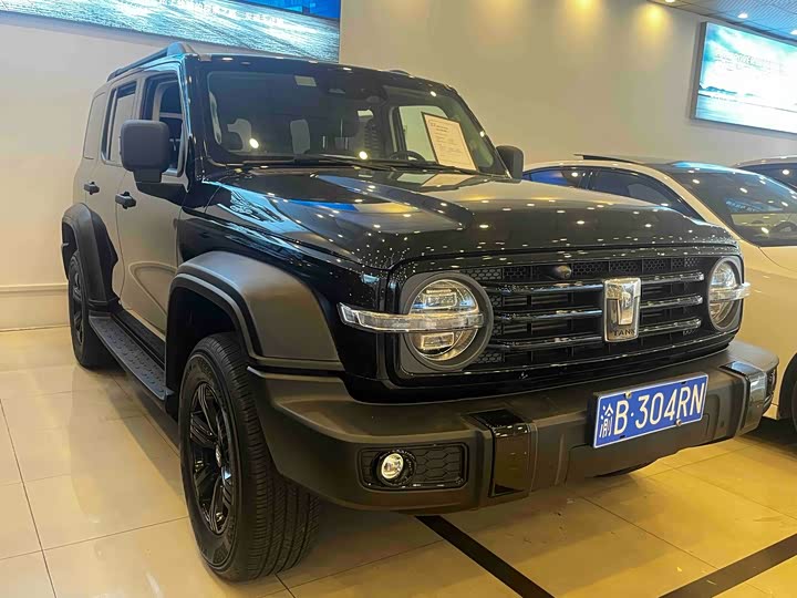 Фото 3 - Tank 300