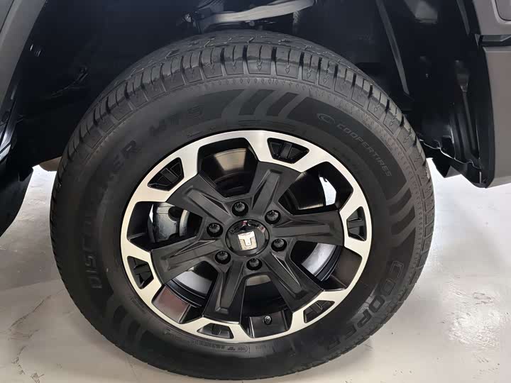 Фото 4 - Tank 300 Hybrid