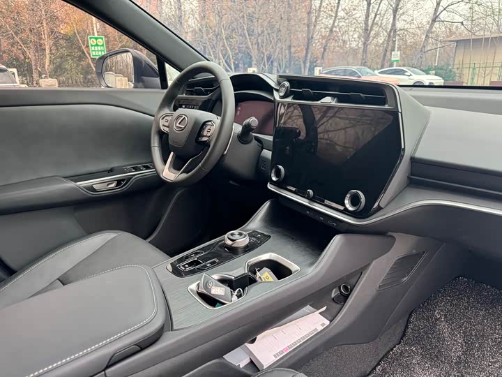 Фото 9 - Lexus RZ