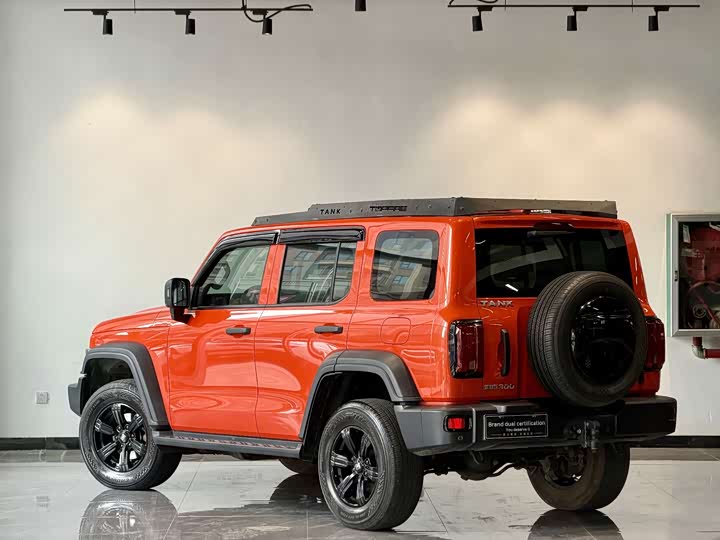 Фото 3 - Tank 300