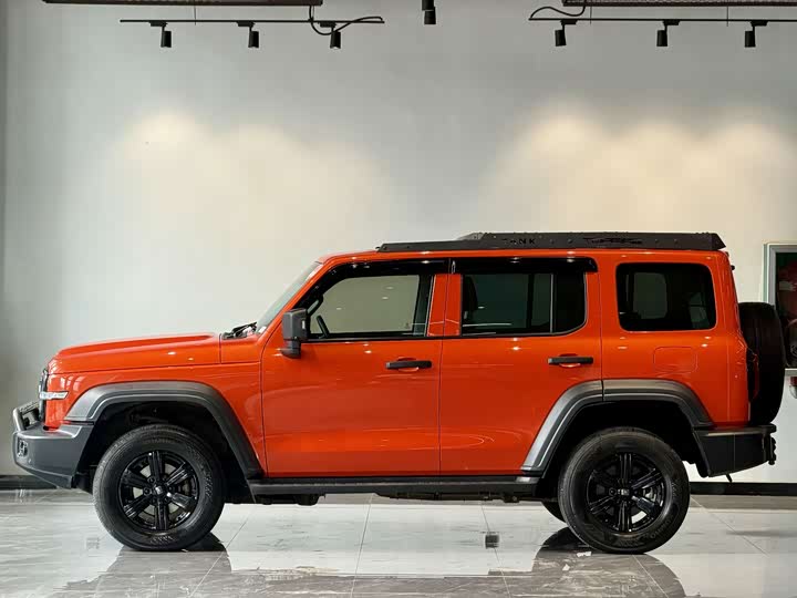 Фото 4 - Tank 300