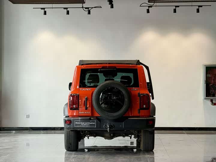 Фото 5 - Tank 300