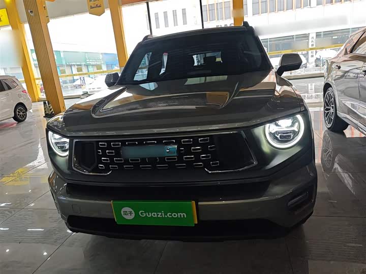 Фото 3 - Haval H-Dog Hybrid