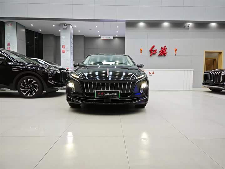 Photo 2 - Hongqi E-QM5