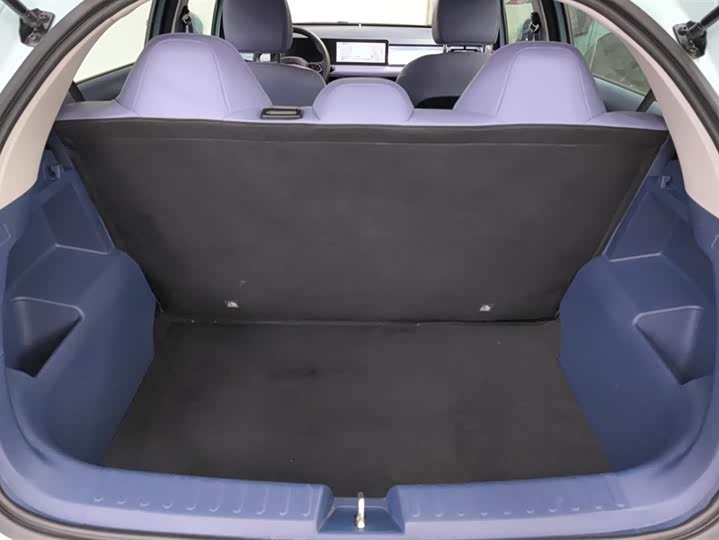 Фото 4 - Geely Geometry E Firefly