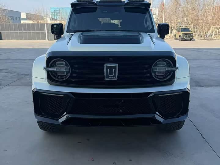 Фото 2 - Tank 300