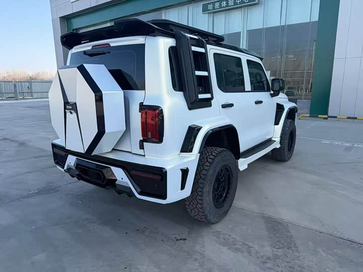 Фото 4 - Tank 300