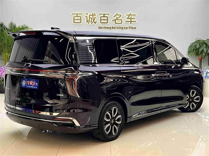 Фото 6 - Hongqi HQ9