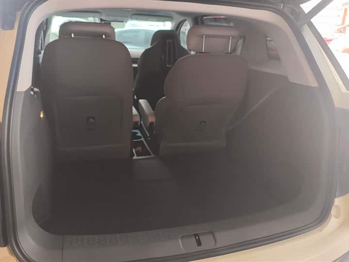 Фото 4 - BAIC Arcfox Kaola