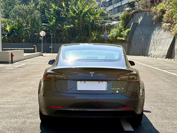 Фото 8 - Tesla Model 3