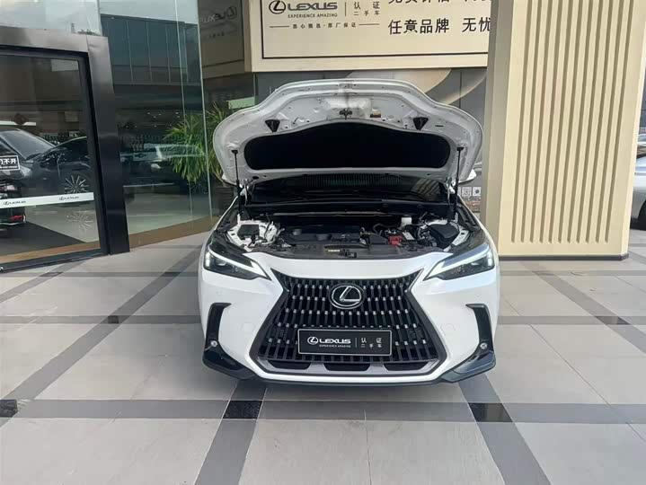 Фото 2 - Lexus NX