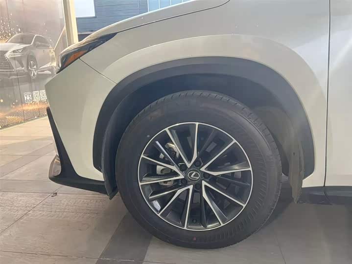 Фото 7 - Lexus NX