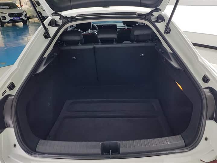 Фото 4 - Volkswagen Lamando L