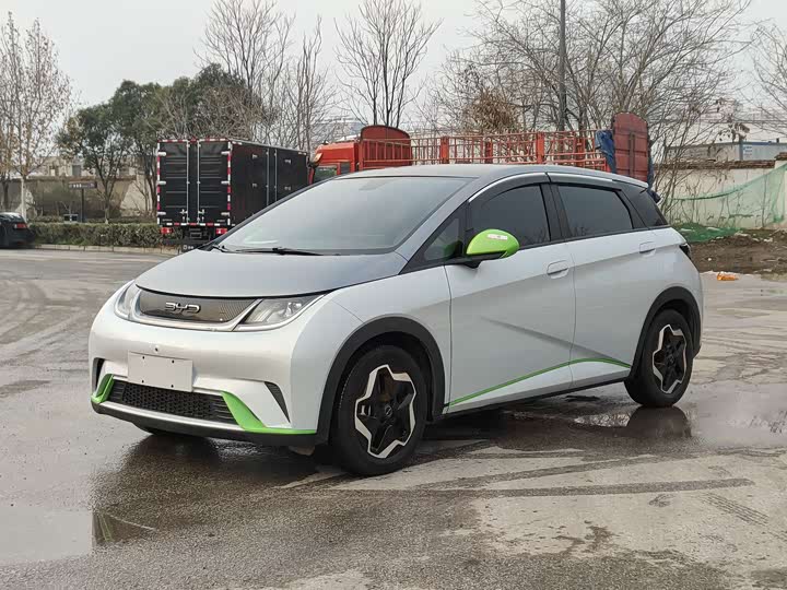 Фото 1 - BYD Dolphin