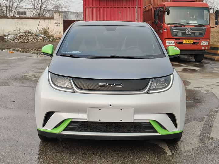 Фото 2 - BYD Dolphin