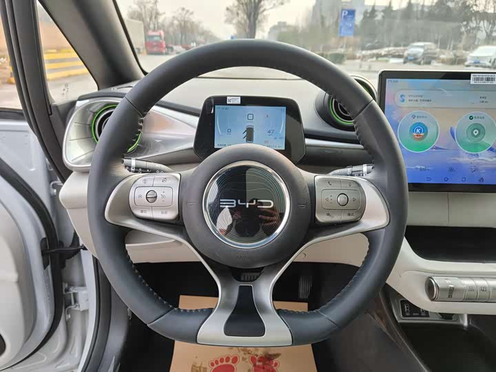 Фото 4 - BYD Dolphin