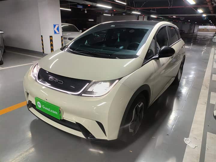Фото 1 - BYD Dolphin
