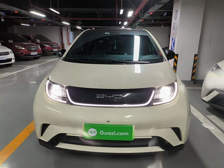 Фото 3 - BYD Dolphin