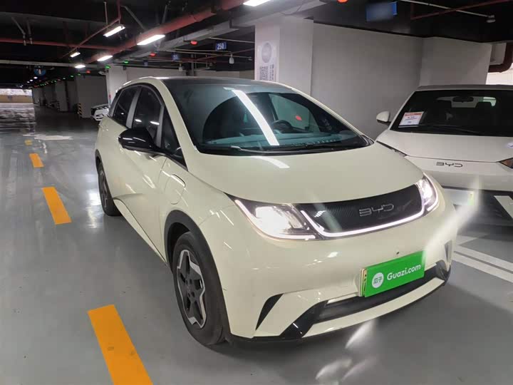 Фото 4 - BYD Dolphin