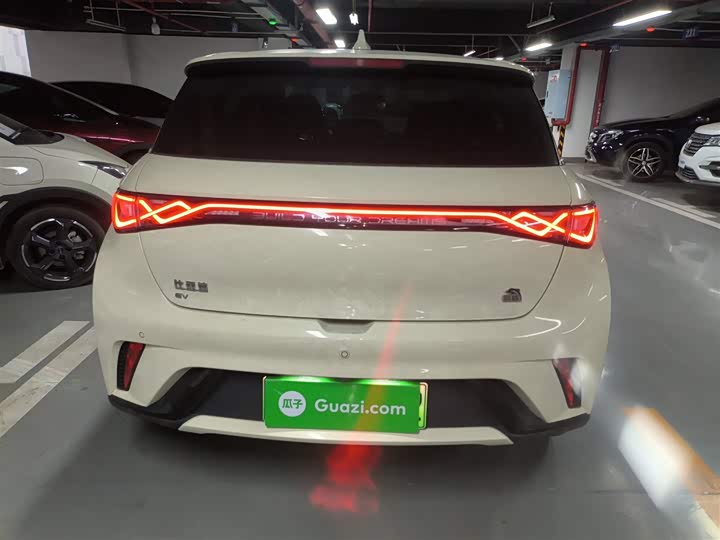 Фото 6 - BYD Dolphin