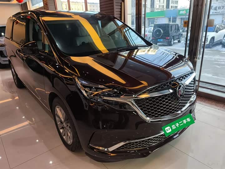 Фото 4 - Buick GL8 ES