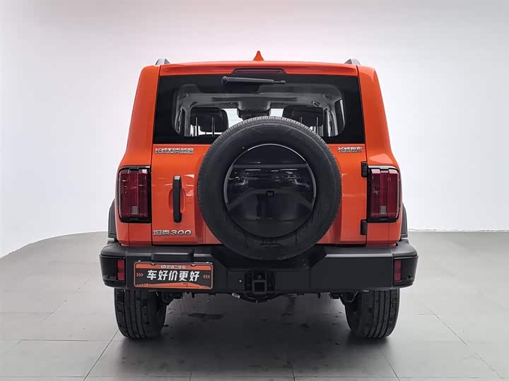 Фото 4 - Tank 300