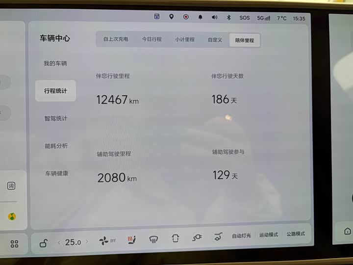 Фото 6 - LiXiang Mega