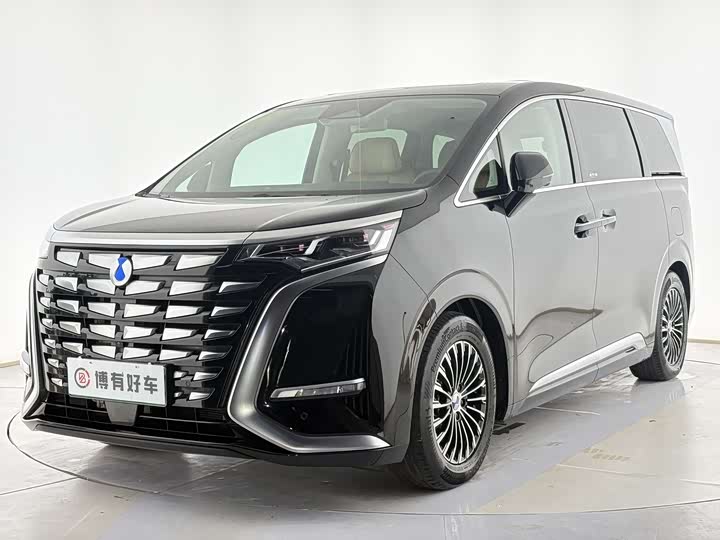 Фото 1 - Denza D9