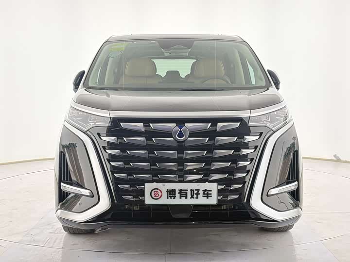 Фото 2 - Denza D9