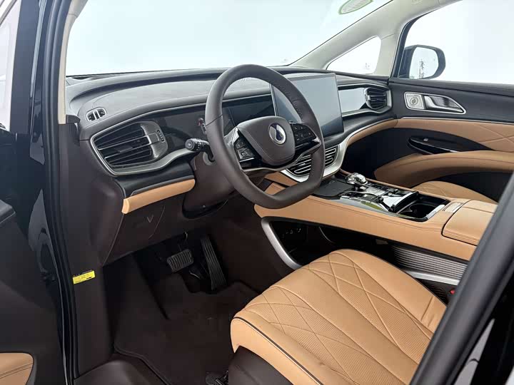 Фото 4 - Denza D9